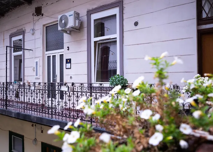 Better Than Apartment